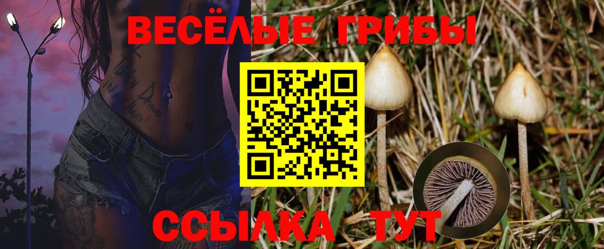 Нефтекумск  Псилоцибиновые грибы GOLDEN TEACHER  Галлюциногенные грибы GOLDEN TEACHER  Вход с VPN 