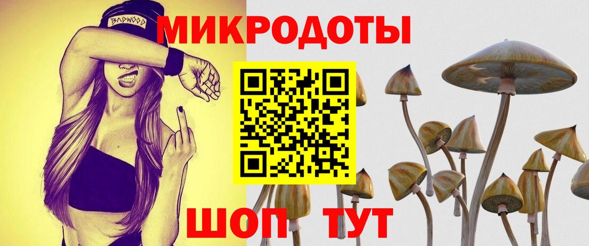 Галлюциногенные грибы Psilocybe Нефтекумск